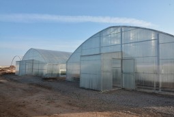 В Коргалжынском районе новые теплицы готовятся к получению первого урожая