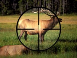 ​В Атбасарском районе за незаконную охоту были задержаны 8 браконьеров