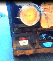В Кокшетау был задержан автомобиль КамАЗ груженный нелегально срубленными соснами