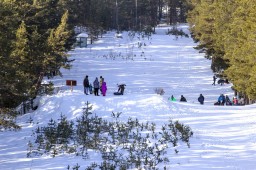 Какие виды зимнего отдыха будут доступны гостям Акмолинской области