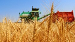 11,7 млн тонн зерна намолотили казахстанские фермеры - МСХ