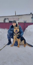 Служебные собаки помогли по горячим следам раскрыть кражи в Акмолинской области