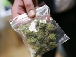 Почти два килограмма марихуаны перевозил житель Акмолинской области в автомобиле