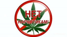 В Кокшетау полицейскими задержан местный житель c 3-мя килограммами марихуаны