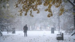 Туман, гололед и низовая метель ожидаются в Акмолинской области