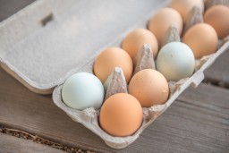 Цены на яйца резко подскочили в Казахстане