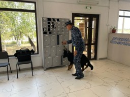 ​Об уголовной ответственности за пронос запрещенных веществ рассказали акмолинские полицейские