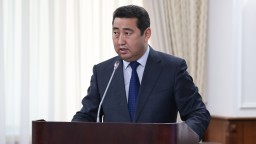 Площадь посевных будет доведена до 23,7 млн га в текущем году в РК