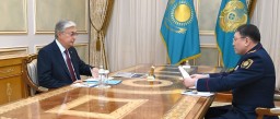 Токаев принял министра внутренних дел Ержана Саденова