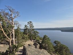 Ұлттық паркті табиғи қалпында сақтап, байыта түссек дейміз