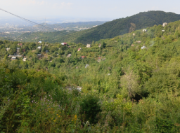 ​The Enduring Magical Tradition of the Dacha
