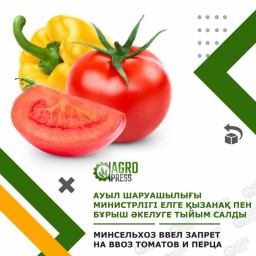 Минсельхоз РК ввел запрет на ввоз томатов и перца