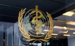 ВОЗ предупредила об «очень высоком» риске распространения холеры