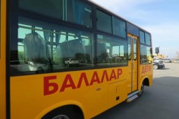 Проверка школьных автобусов: к дисциплинарной ответственности привлечены 53 должностных лица