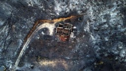 Пожары в Греции: в лесу найдены 18 обгоревших тел