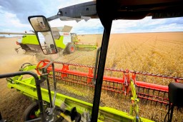 Токаев ознакомился с ходом уборочной кампании в Акмолинской области