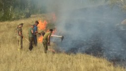 В Акмолинской  области сельчанин стал виновником  степного  пожара