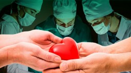 Трансплантация и закон: что нужно знать?