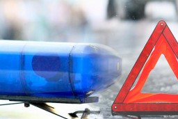 ​Полицейские Акмолинской области задержали водителя, скрывшегося после смертельного наезда