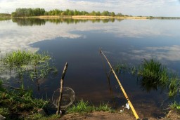 Два водоема оказались непригодными для рыбалки в Акмолинской области
