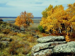Из зала суда: как жители Акмолинской области отстояли Басакину балку