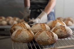 Ждать ли казахстанцам повышения цен на хлеб