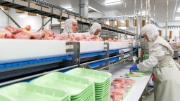 130 предприятий Акмолинской области обеспечивают сельхозпродукцией жителей столицы