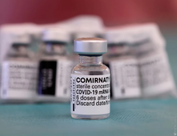 35 100 доз вакцины Pfizer поступило в Акмолинскую область