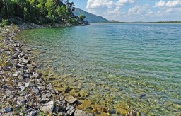 На озере Большое Чебачье в Акмолинской области обнаружен факт частичной гибели рыбы