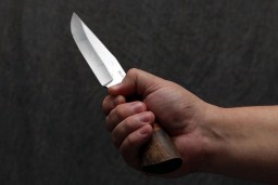 В Кокшетау мужчина ранил ножом сожительницу