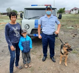 Служебная собака помогла найти пропавшего ребенка в Акмолинской области
