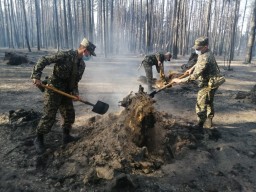 Акмолинские гвардейцы задействованы в тушение  лесных  пожаров  в Костанайской области