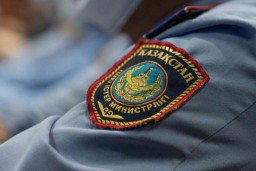 Мошенничество по трем эпизодам раскрыли в Акмолинской области
