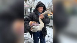 Краснокнижного лебедя-кликуна спасли в Акмолинской области