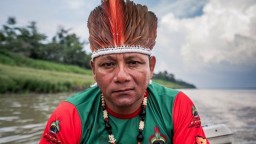 Рекордная засуха на Амазонке: «Мы никогда не видели ничего подобного»