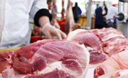 Ветинспектор Кокшетау подозревается в получении взятки от поставщика мяса