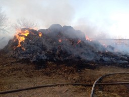 ​Умышленный поджог на сумму более 10 млн тенге расследуют в Акмолинской области