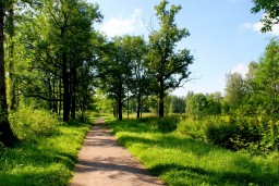 Участки лесного фонда на 678 млн тенге возвращены государству в Акмолинской области