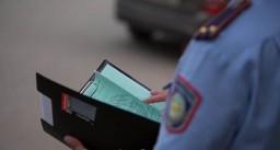 Более 2 тыс. иностранцев наказали в Акмолинской области за нарушение миграционного законодательства