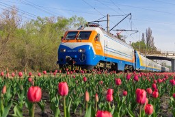 Казахстанцы с ограниченными возможностями могут купить ж/д билеты, не посещая кассу