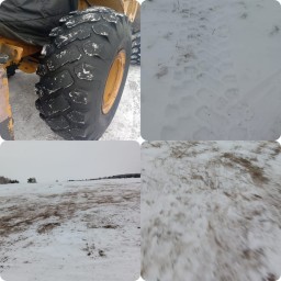 20 кубов древесины украл с поля житель Кокшетау