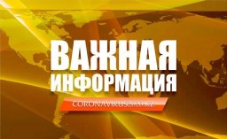 За прошедшие сутки в Казахстане 250 человек выздоровели от коронавирусной инфекции
