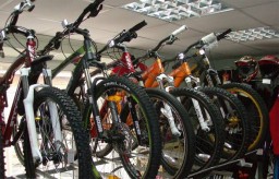 Нацпарк Кокшетау планировал купить велосипеды в три раза дороже средней цены