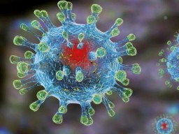 В Акмолинской области - 13 новых случаев заболевания коронавирусом. Все они - постояльцы дома преста