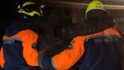 Мужчина через степь пошел на работу и пропал в Акмолинской области