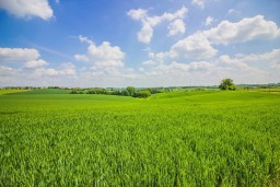 Нарушенные права фермерского хозяйства восстановили в Акмолинской области