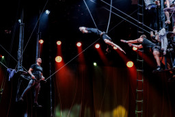 Как создается OVO от Cirque du Soleil: в цирке открыли эксклюзивный доступ на репетицию