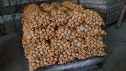 Житель Акмолинской области похитил 18 мешков картофеля и сдал их на реализацию