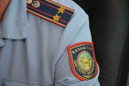 Подозреваемого в краже на 2 млн тенге задержали в Акмолинской области
