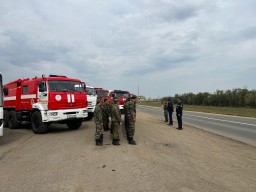 Акмолинские спасатели отправились на тушение лесного пожара в Костанайскую область